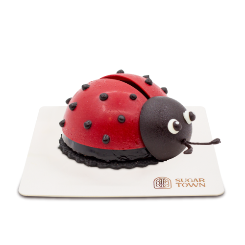 Lovely ladybird